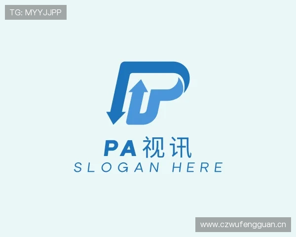 了解PA视讯